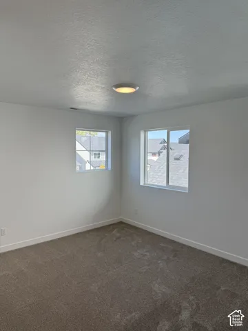 Neutral tone wall paint, textured ceiling, two windows, carpet flooring, and a flush mount ceiling light