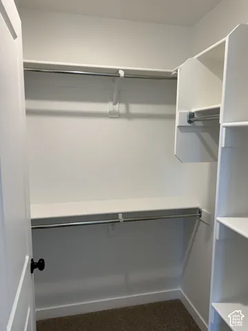 Walk-in closet with white shelving, chrome hanging rods, and carpet flooring
