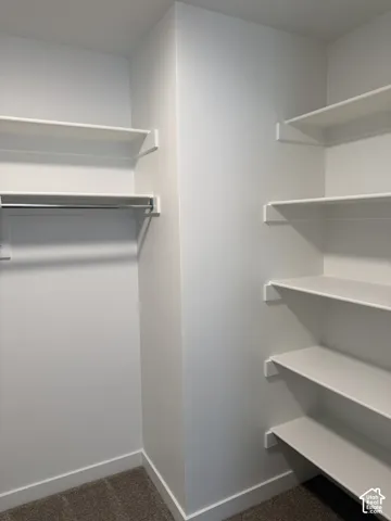 Walk-in closet with multiple white shelves, a clothing rod, and neutral carpet flooring