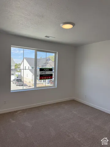 Neutral-toned carpeting throughout, complemented by a contemporary flush-mount ceiling light fixture