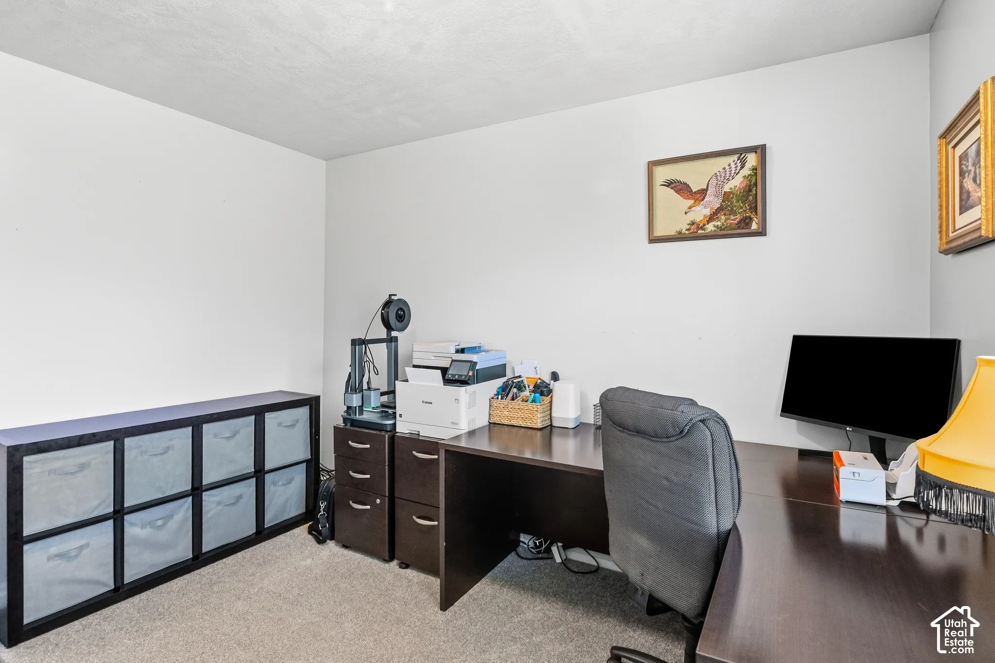Carpeted flooring, white walls, and a built-in storage unit with cubbies