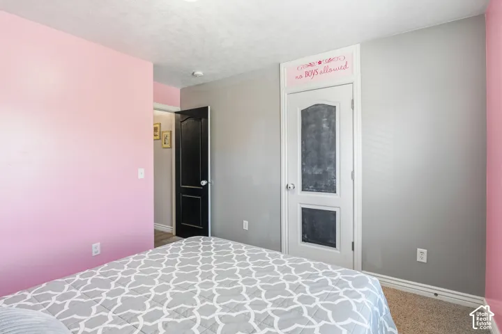 Textured ceiling, painted walls, carpeted flooring, and a paneled door