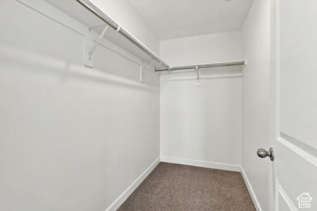Walk-in closet featuring neutral carpeting, white walls, and dual clothing rods with shelving