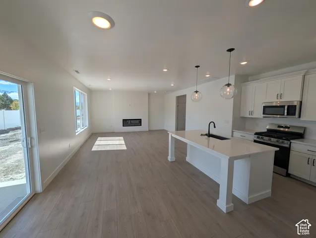 Open concept living area featuring wood-finish flooring, a contemporary fireplace, and recessed lighting