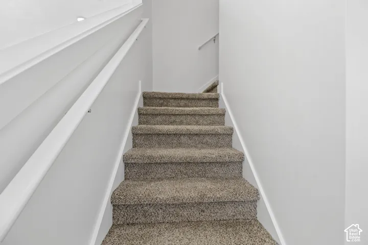 Carpeted staircase with white handrails