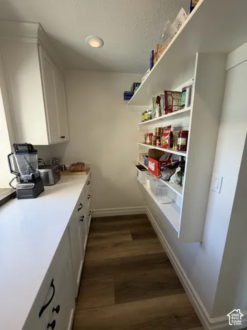 Well-organized pantry featuring extensive built-in shelving, white cabinetry, a light-toned countertop, wood-finish flooring, and recessed ceiling lighting