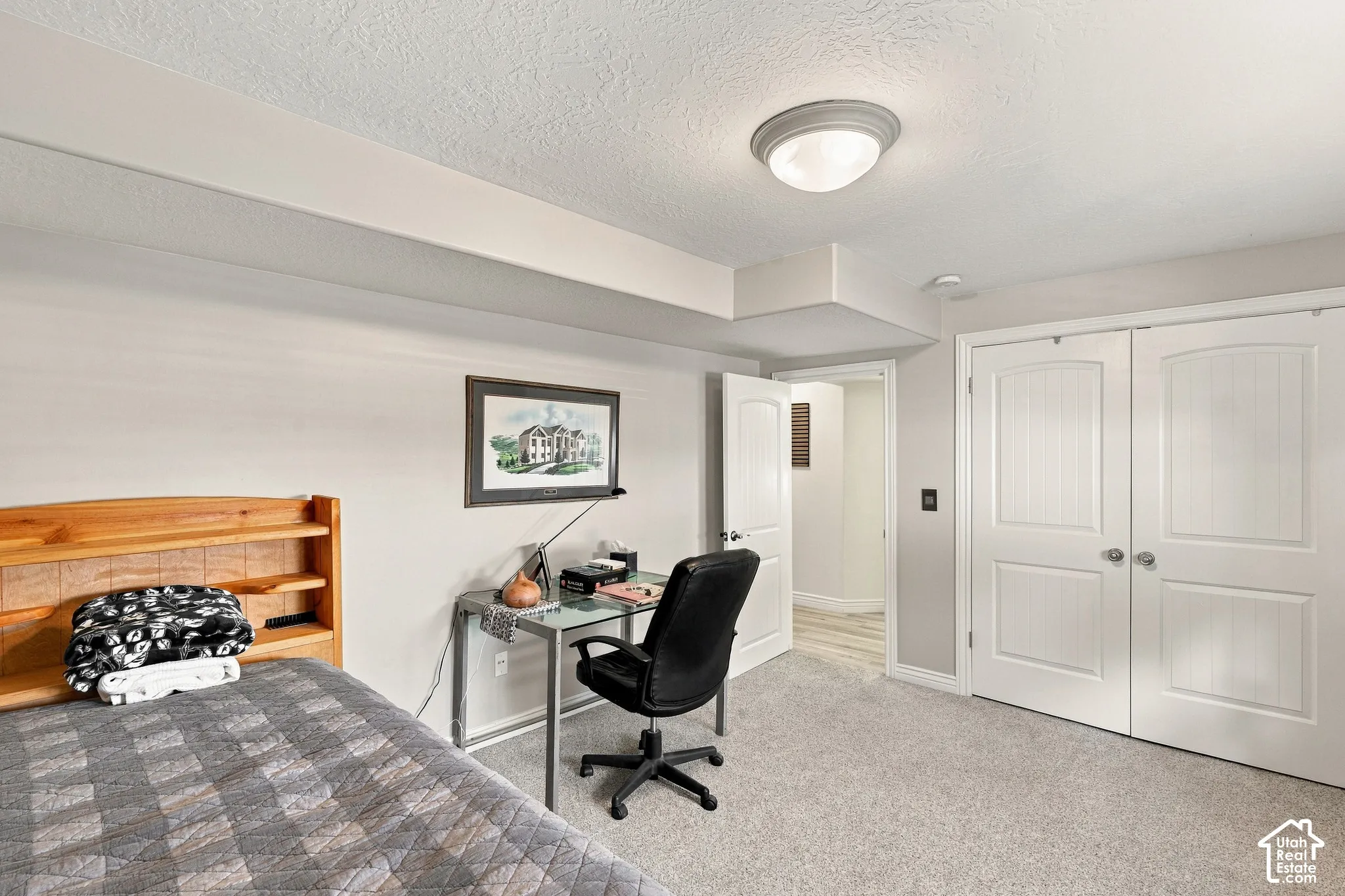 Plush carpeting, paneled bifold closet doors, and a flush mount ceiling light fixture