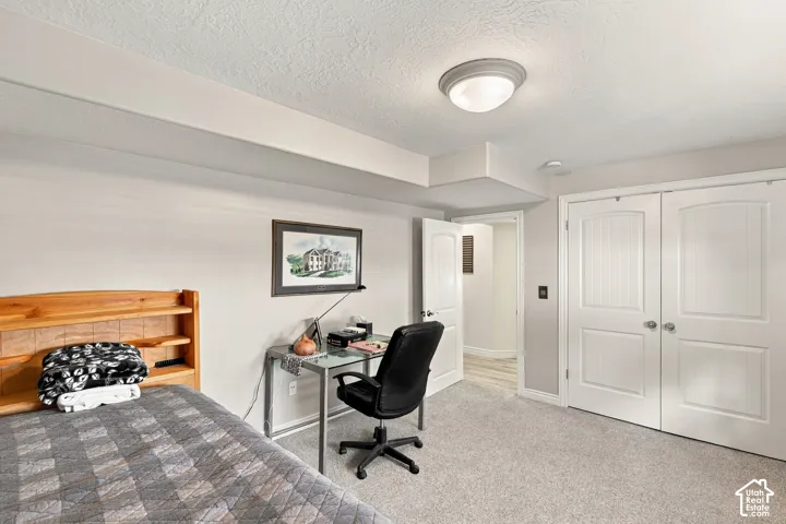 Plush carpeting, paneled bifold closet doors, and a flush mount ceiling light fixture