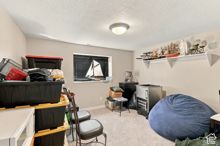 Carpeted flooring with a single window featuring horizontal blinds, a ceiling-mounted light fixture, and a wall-mounted display shelf