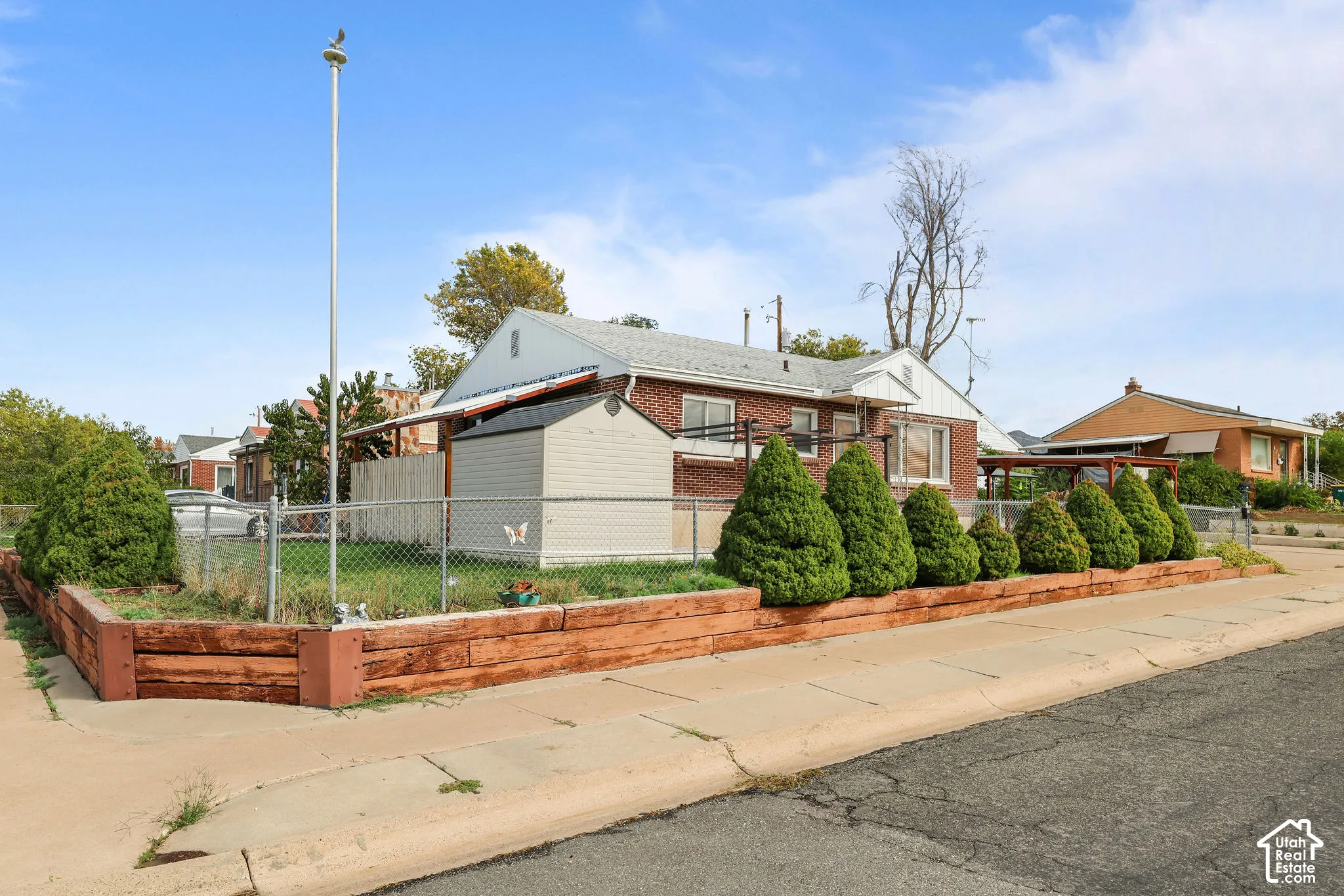 Front yard featuring a chain-link fence, mature conical shrubs, and a raised planter bed