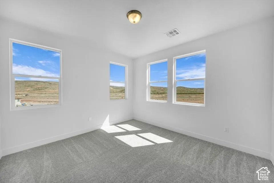 Neutral wall paint, gray carpet flooring, multiple windows, and a ceiling-mounted light fixture