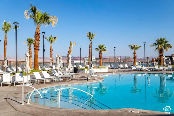Outdoor swimming pool with integrated steps, surrounded by a concrete deck, multiple palm trees, and modern light fixtures