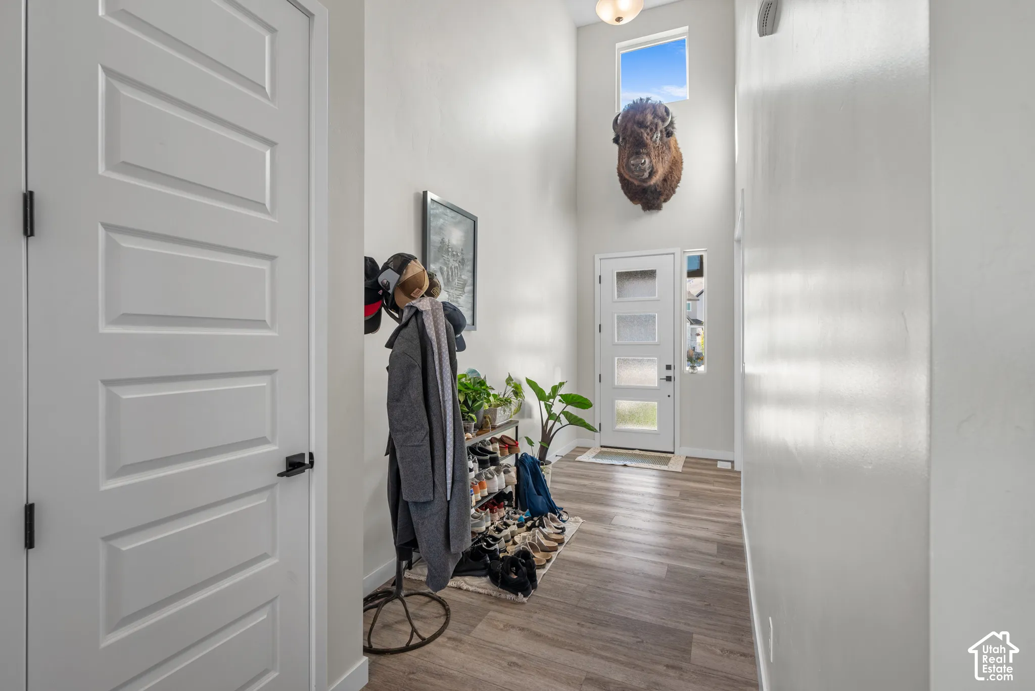 Wood-finish flooring with a white entry door, frosted glass panels, and a high transom window
