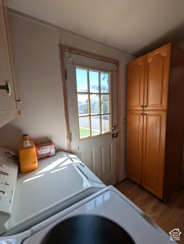 Wood-finish flooring, built-in storage cabinetry, exterior access door with window panes