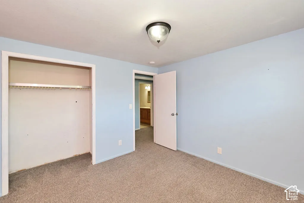 Carpeted flooring, light blue wall paint, closet with built-in hanging rod, ceiling-mounted light fixture