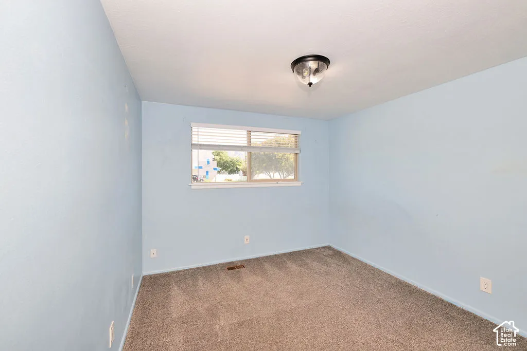 Wall-to-wall carpeting and a ceiling-mounted light fixture