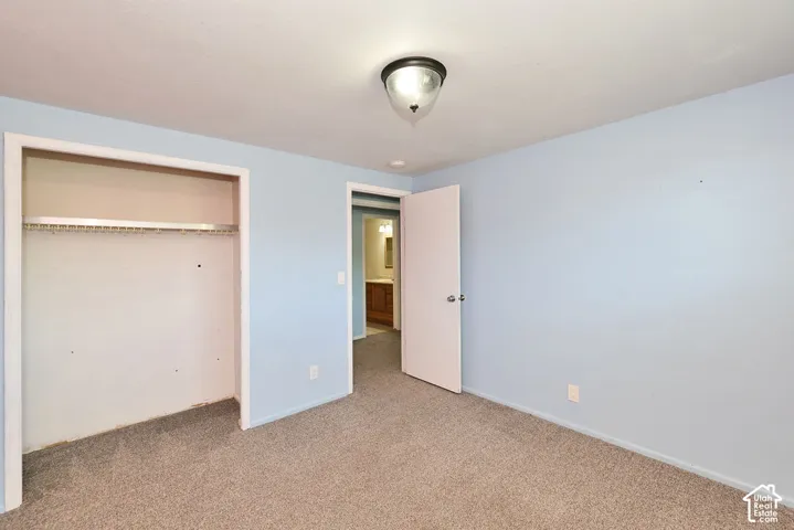 Carpeted flooring, light blue wall paint, closet with built-in hanging rod, ceiling-mounted light fixture