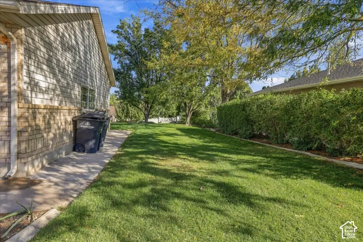 Side yard featuring a concrete walkway, established lawn, and mature perimeter hedging