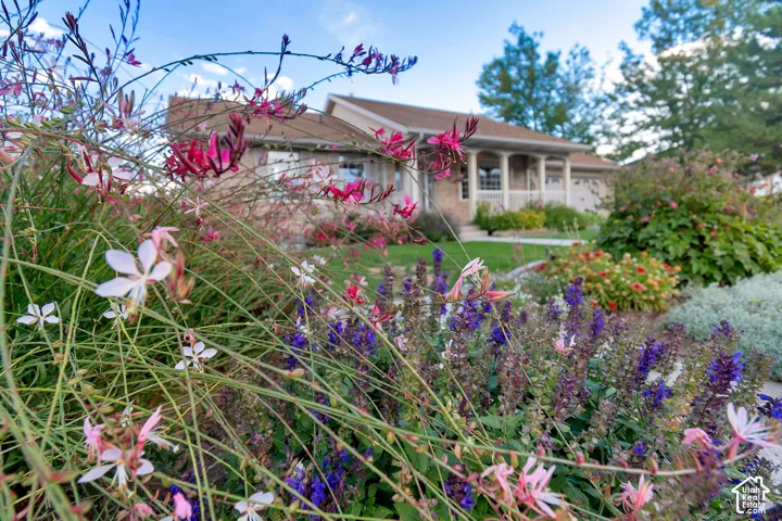 Manicured landscaping with diverse perennials