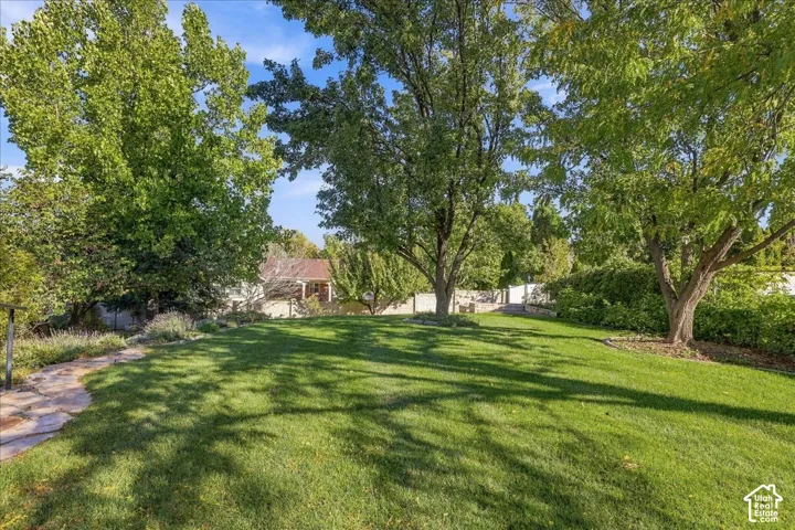 Expansive backyard featuring a manicured lawn, mature trees, stone pathway, and perimeter fencing