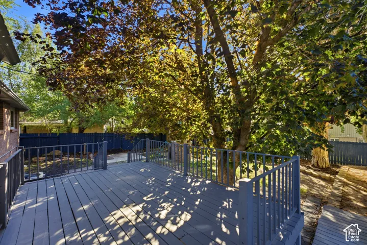 Expansive deck with painted railings, mature trees, and a privacy fence