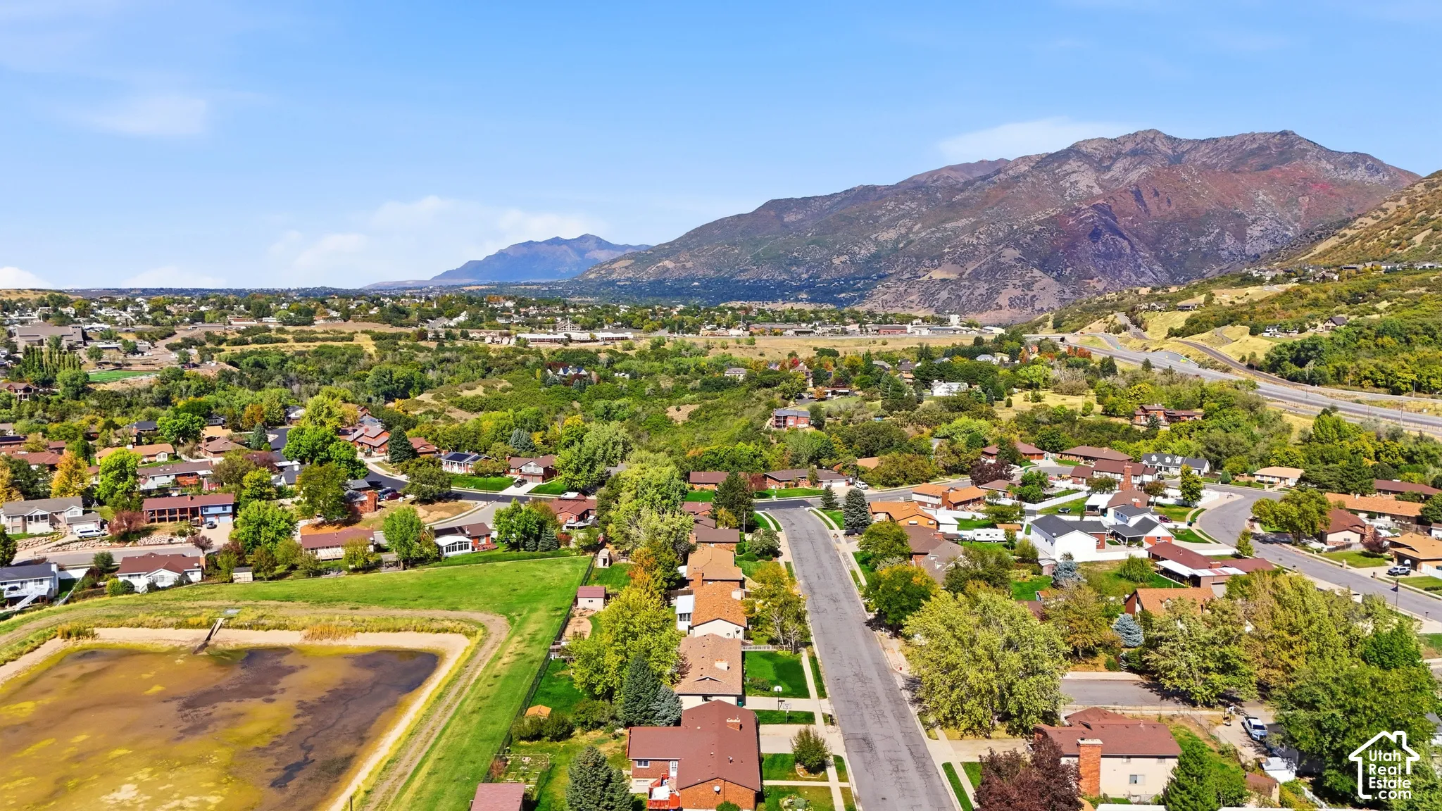 Residential neighborhood with established homes, mature trees, a paved street, and distant mountains