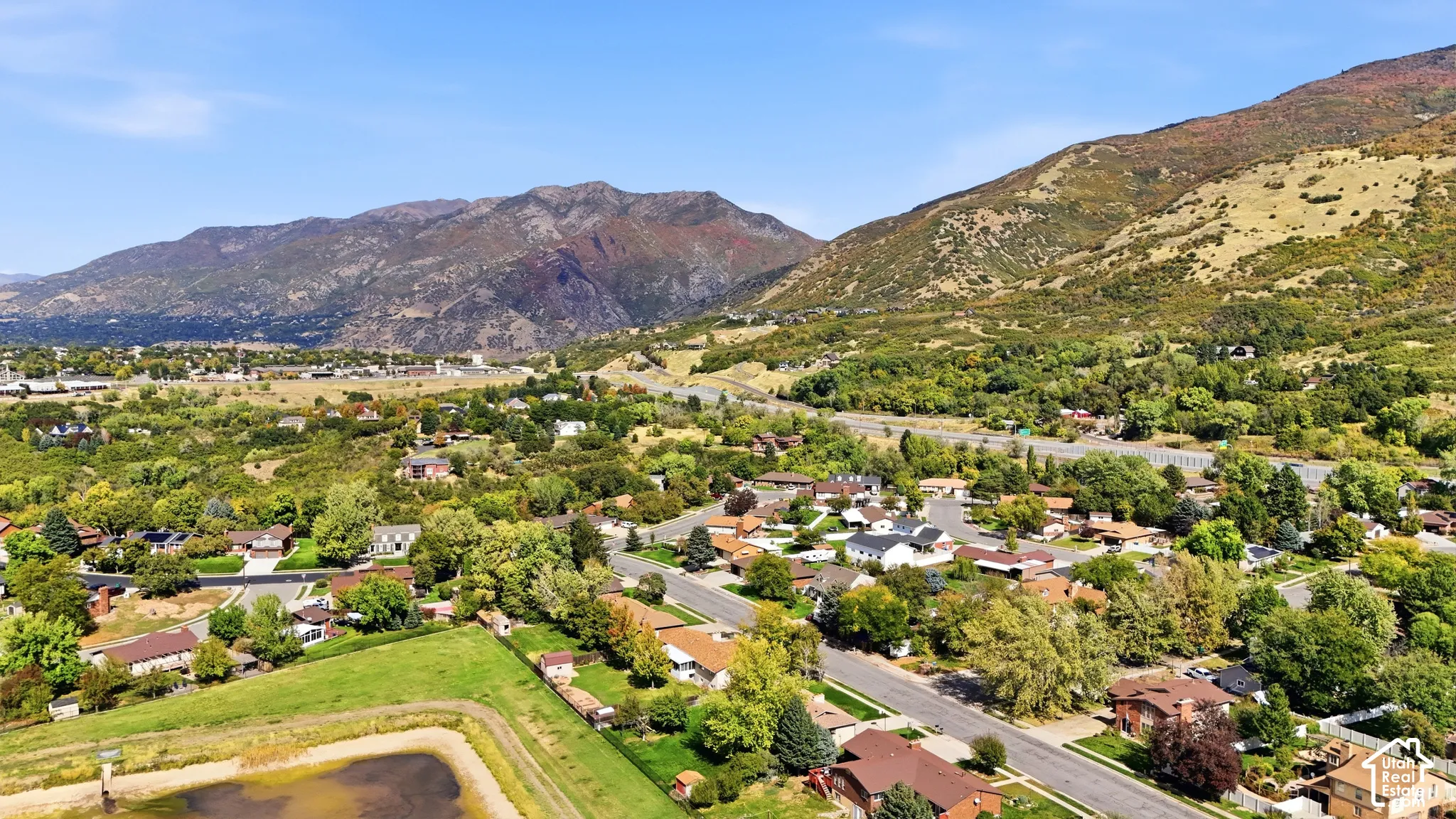 Expansive residential area with a prominent mountain backdrop and abundant mature trees
