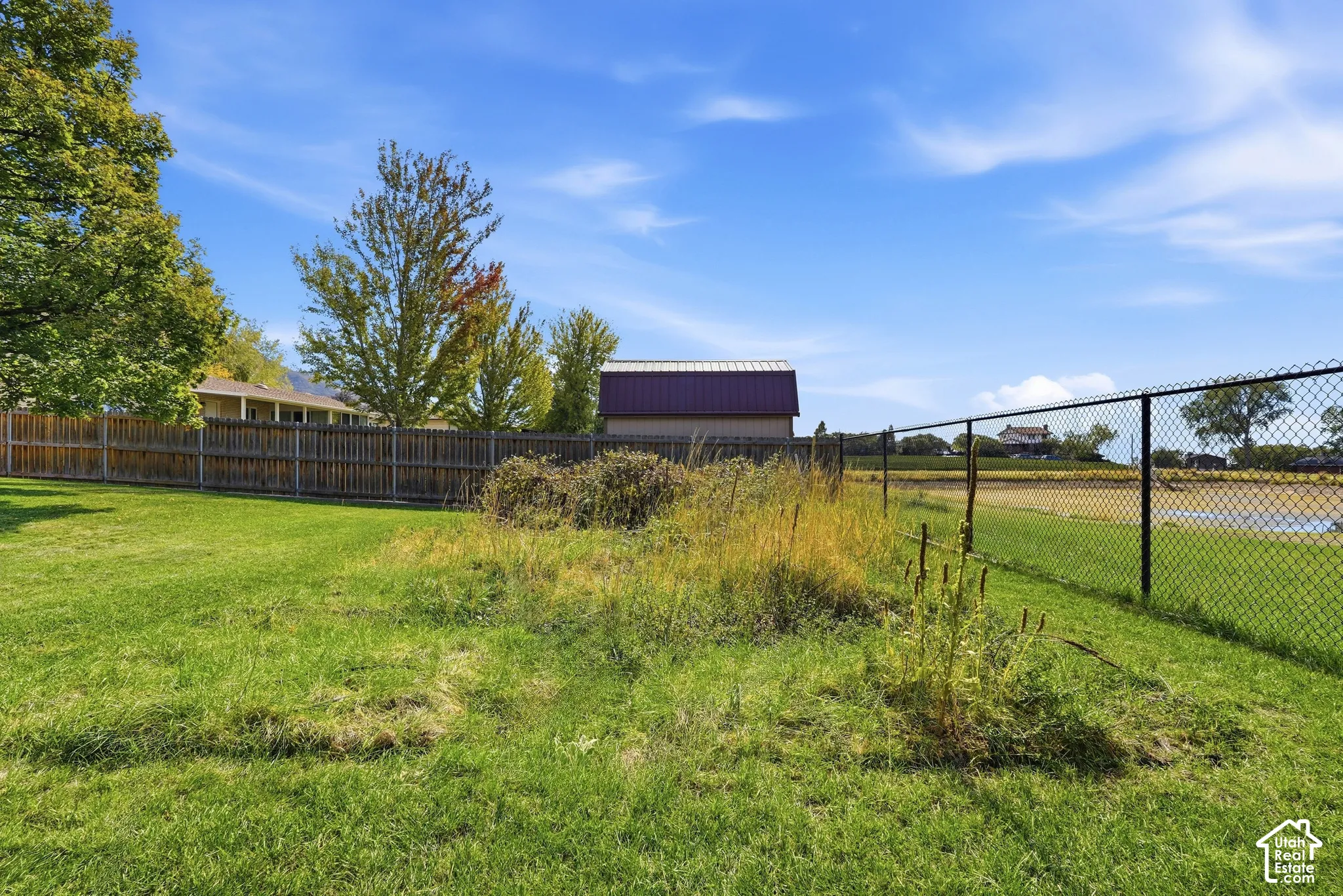 Expansive green space featuring a wood fence, chain-link fence, and a visible outbuilding