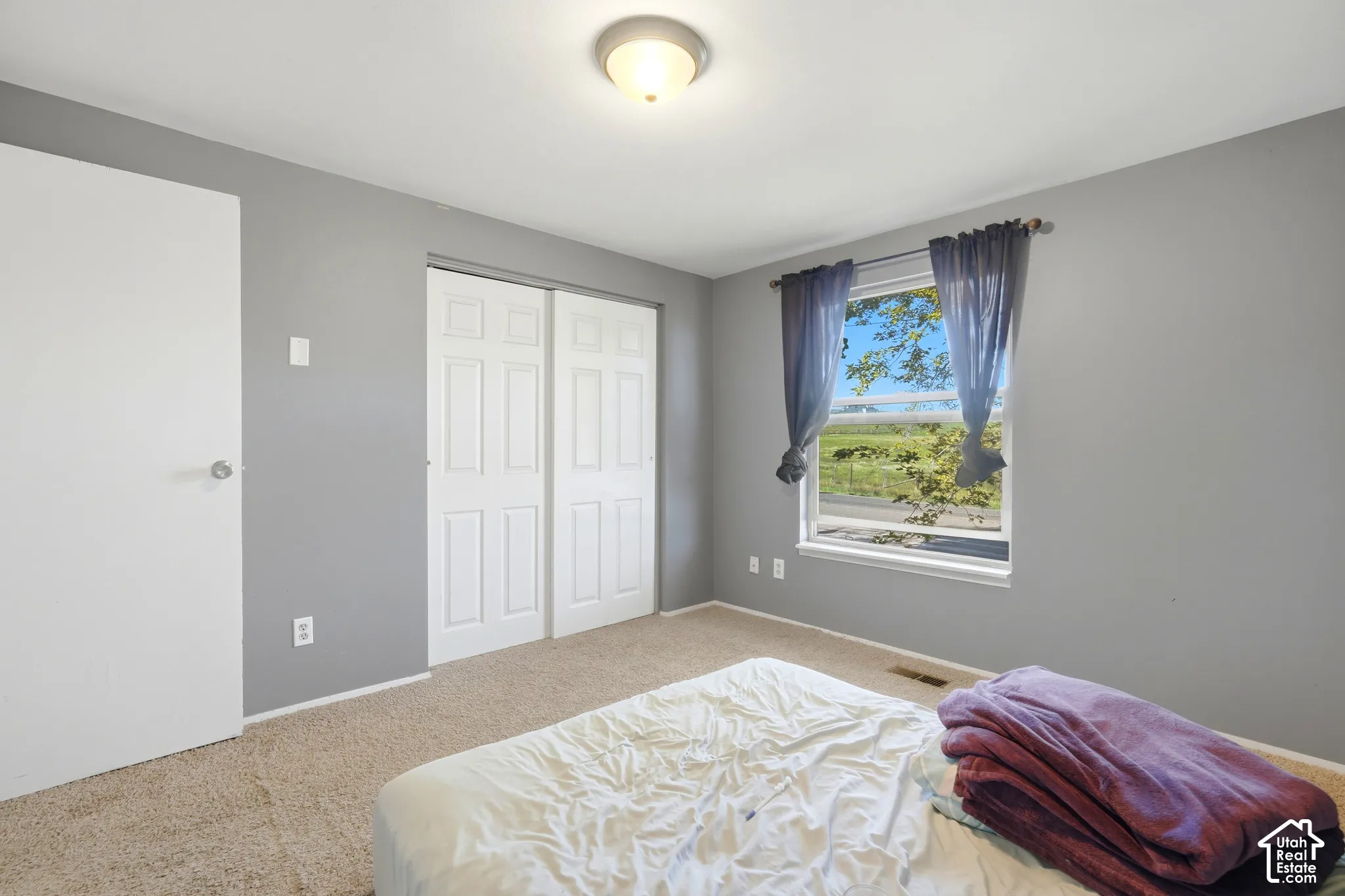 Wall-to-wall carpeting with light gray wall paint, white trim, and a white ceiling