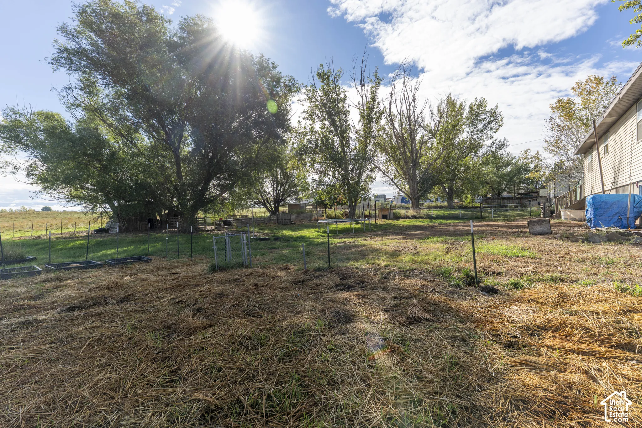 Expansive property featuring mature trees, a fenced perimeter, a grass and hay-covered yard, and a house exterior with siding