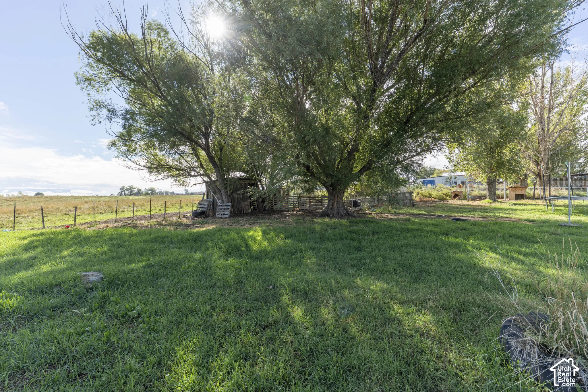 Expansive grassy area featuring mature trees and a natural wood fence