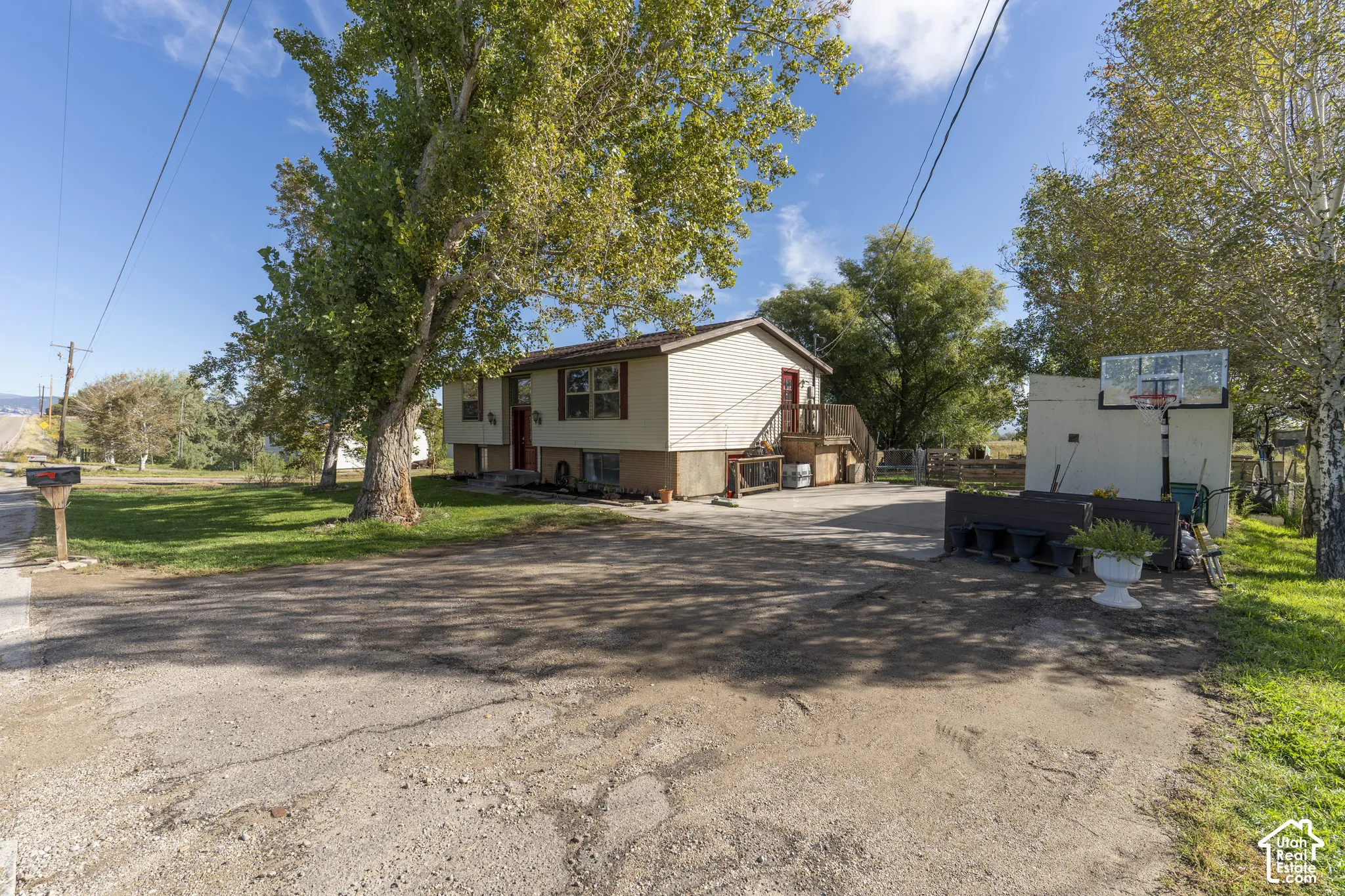 Expansive paved driveway, mature trees, and a basketball hoop structure
