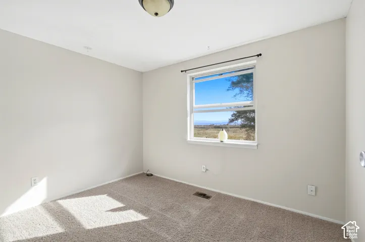 Neutral wall paint, carpet flooring, a window with a black curtain rod, and an overhead light fixture