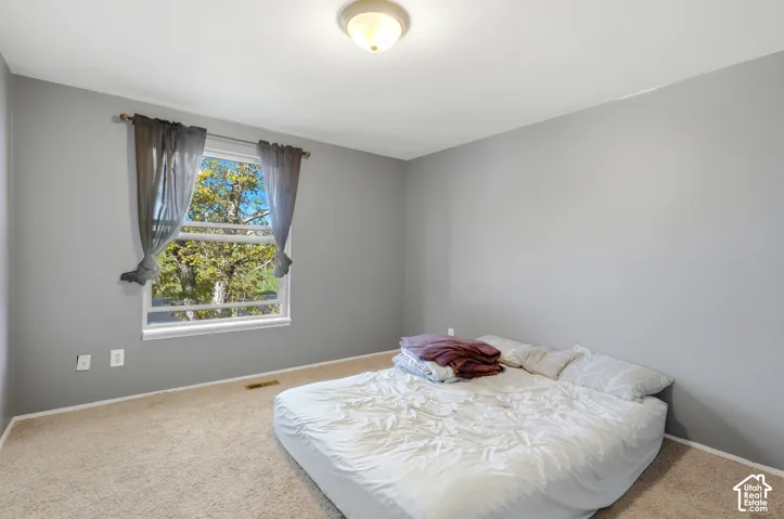 Carpeted flooring, neutral wall paint, ceiling-mounted light fixture, and a window with natural light
