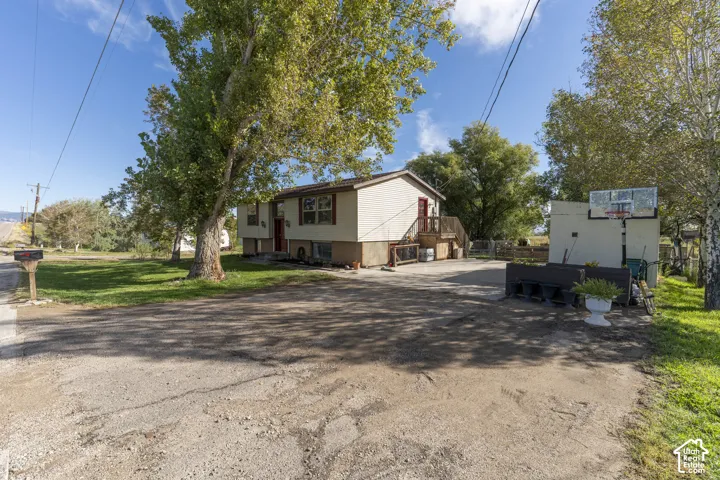 Expansive paved driveway, mature trees, and a basketball hoop structure