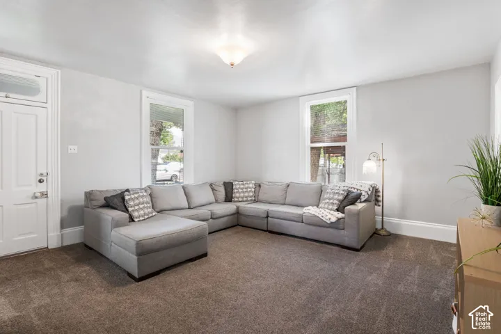 Recessed ceiling light fixture, two double-hung windows, wall-to-wall carpeting, and a white paneled door
