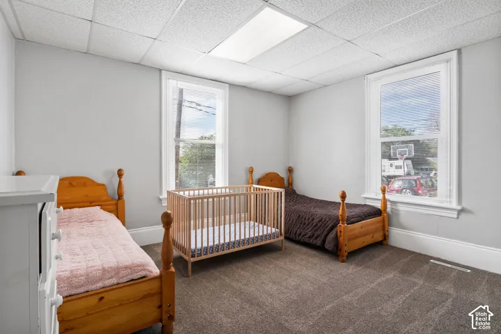 Gray wall paint throughout, light-colored carpet, two windows with white trim, and a white ceiling with a rectangular overhead light fixture
