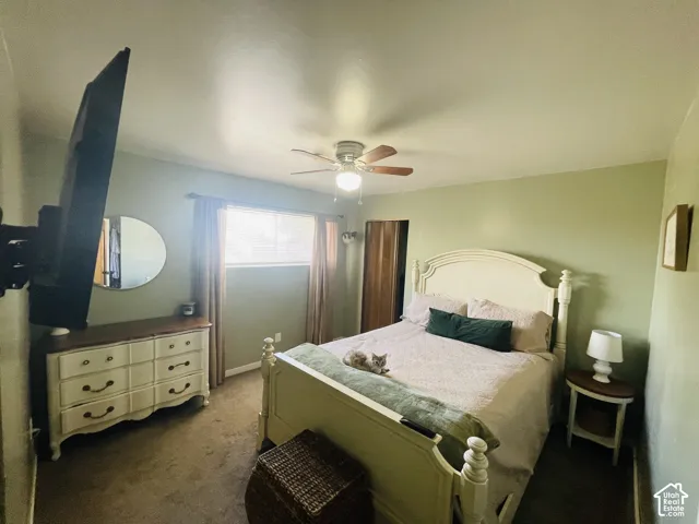 Window with drapes, ceiling fan, and wood-finish door