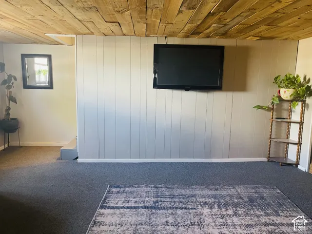 Wood-paneled ceiling with light finish, vertical paneled wall, and wall-to-wall carpeting