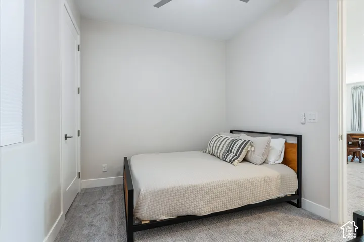 Neutral wall tones, gray carpeting, a flat-panel interior door with matte black hardware, and a window with a cellular shade