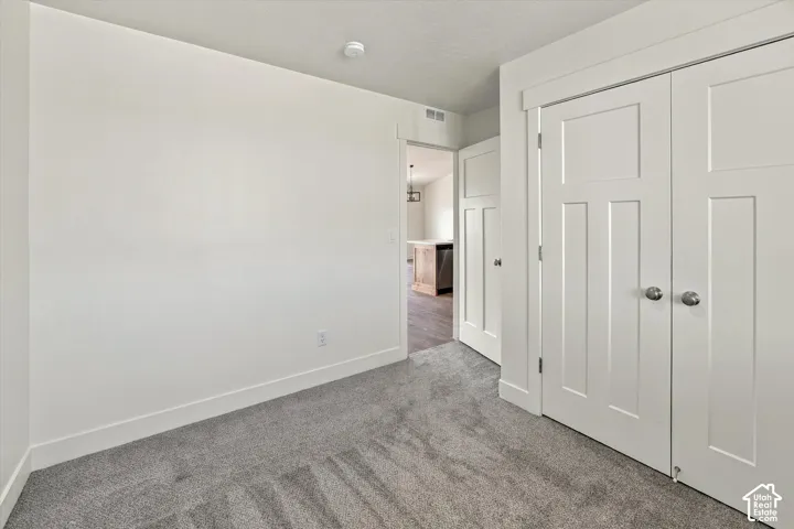 Plush gray carpet flooring, white painted walls, and white trim molding