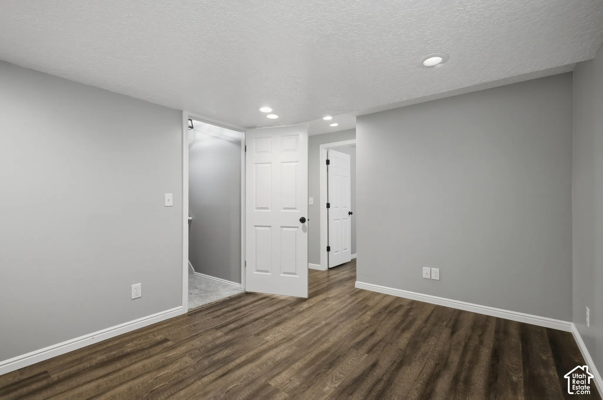 Wood-finish flooring, recessed lighting, neutral gray wall tones, white trim, and paneled interior doors