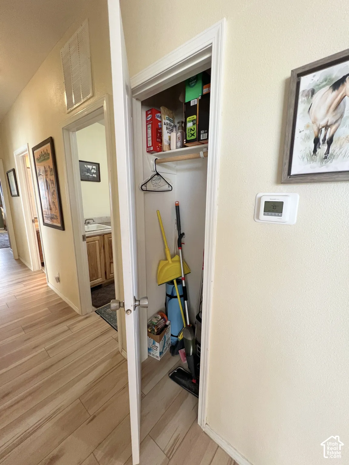 Recessed closet with built-in shelving, wood-finish flooring, and white trim