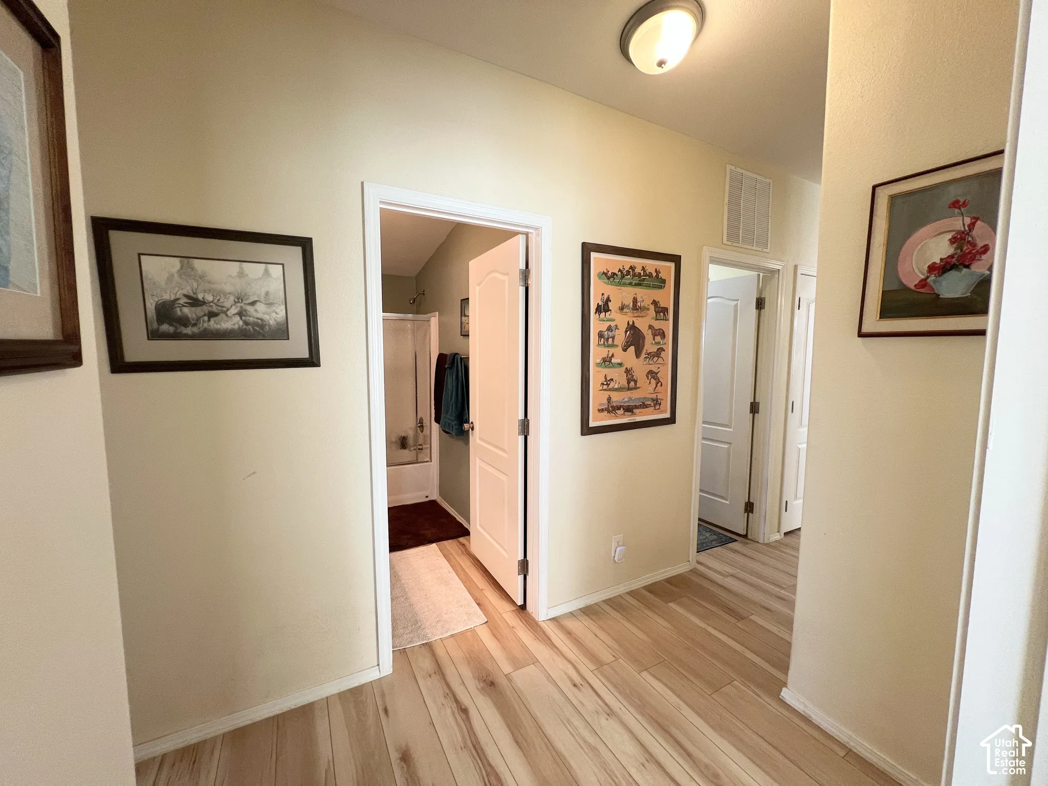 Wood-finish flooring throughout, with a flush-mounted ceiling light fixture