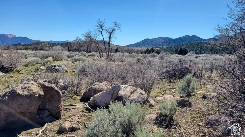 Expansive natural terrain featuring varied shrubbery and visible rock formations
