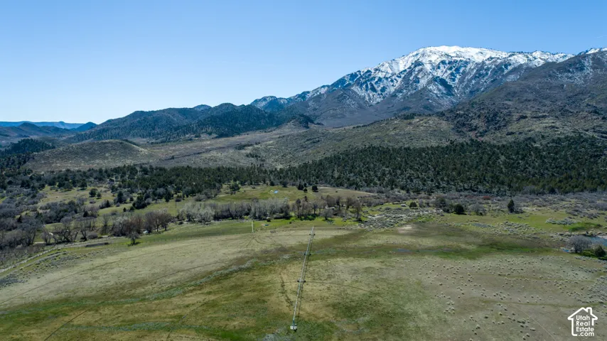 Expansive, open terrain framed by distant mountains with snow-capped peaks
