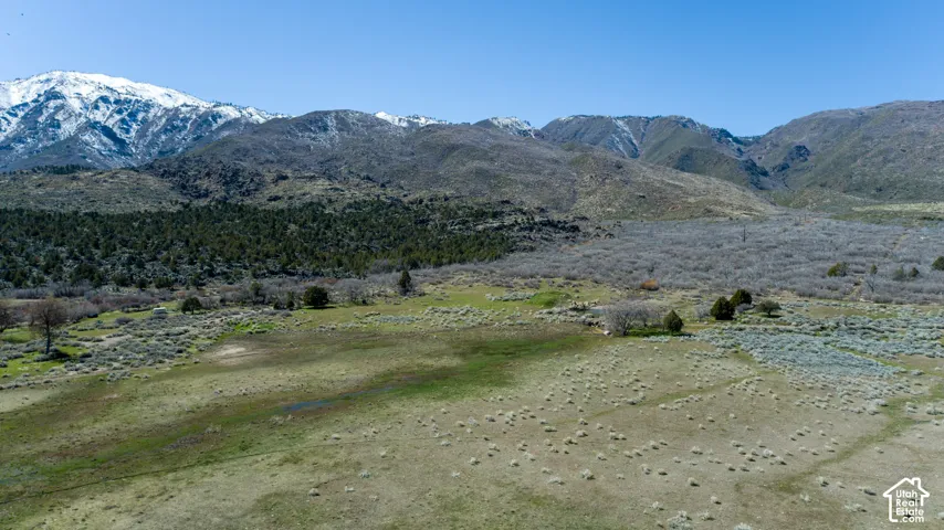Expansive natural landscape featuring rolling hills and distant snow-capped mountains under a clear sky