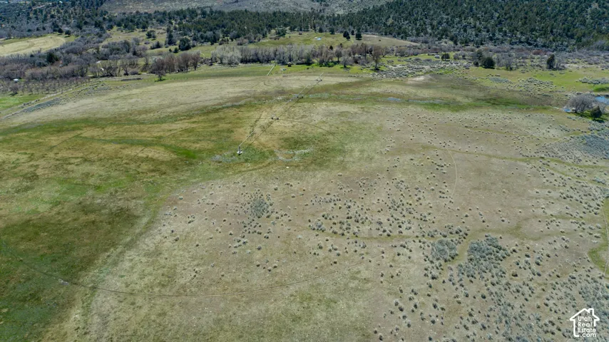 Expansive undeveloped land featuring varied terrain, natural vegetation, and distant tree lines