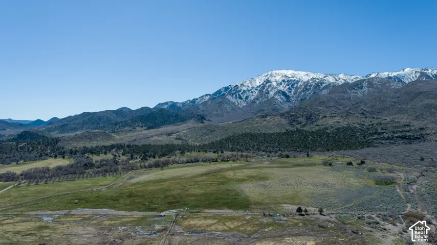 Expansive natural landscape featuring rolling hills, a verdant pasture, and distant snow-capped mountains