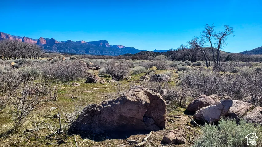 Expansive desert landscape featuring natural rock formations, scattered brush, mature trees, and distant red rock mountains